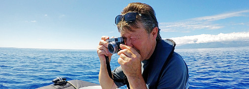 Auf Walfang mit dem Fotoapparat