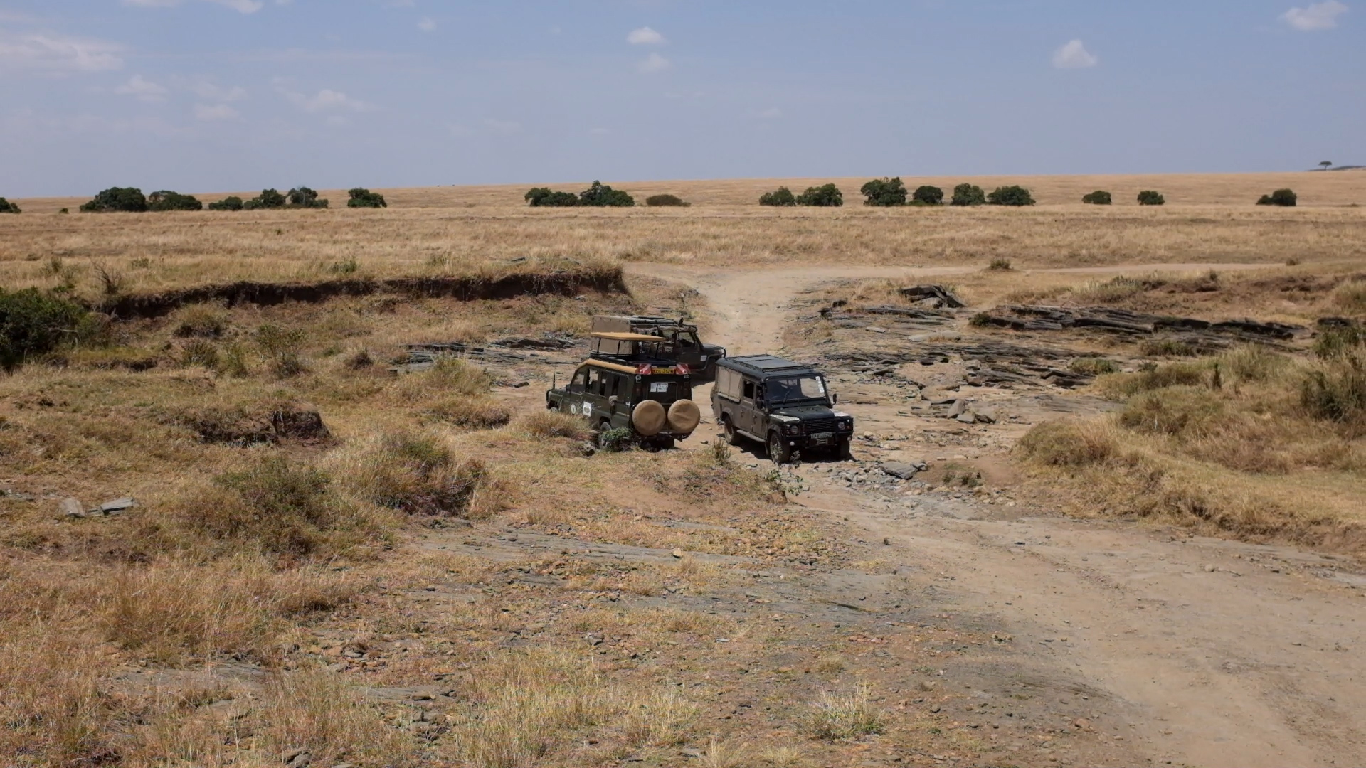 Fahrt durch die Masai Mara