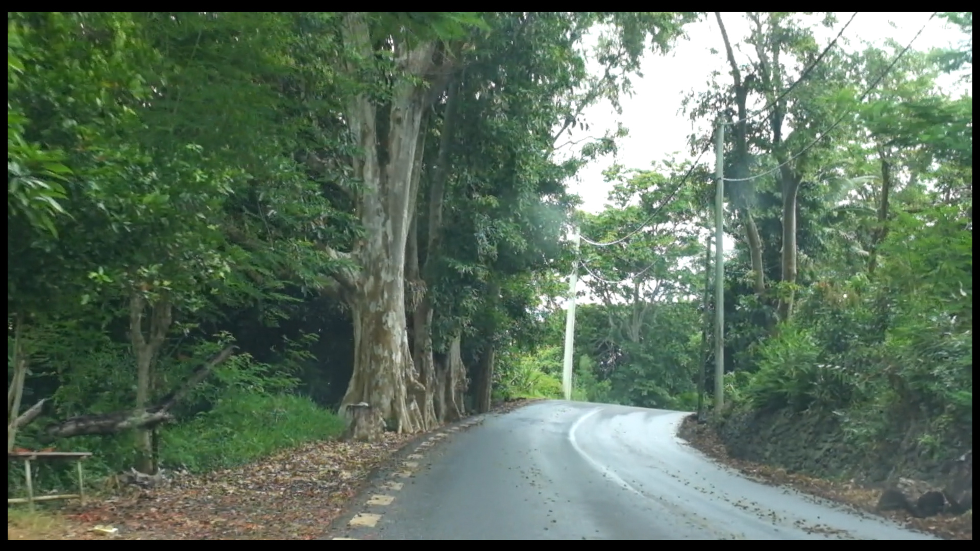 Fahrt an der Ostküste Mauritius