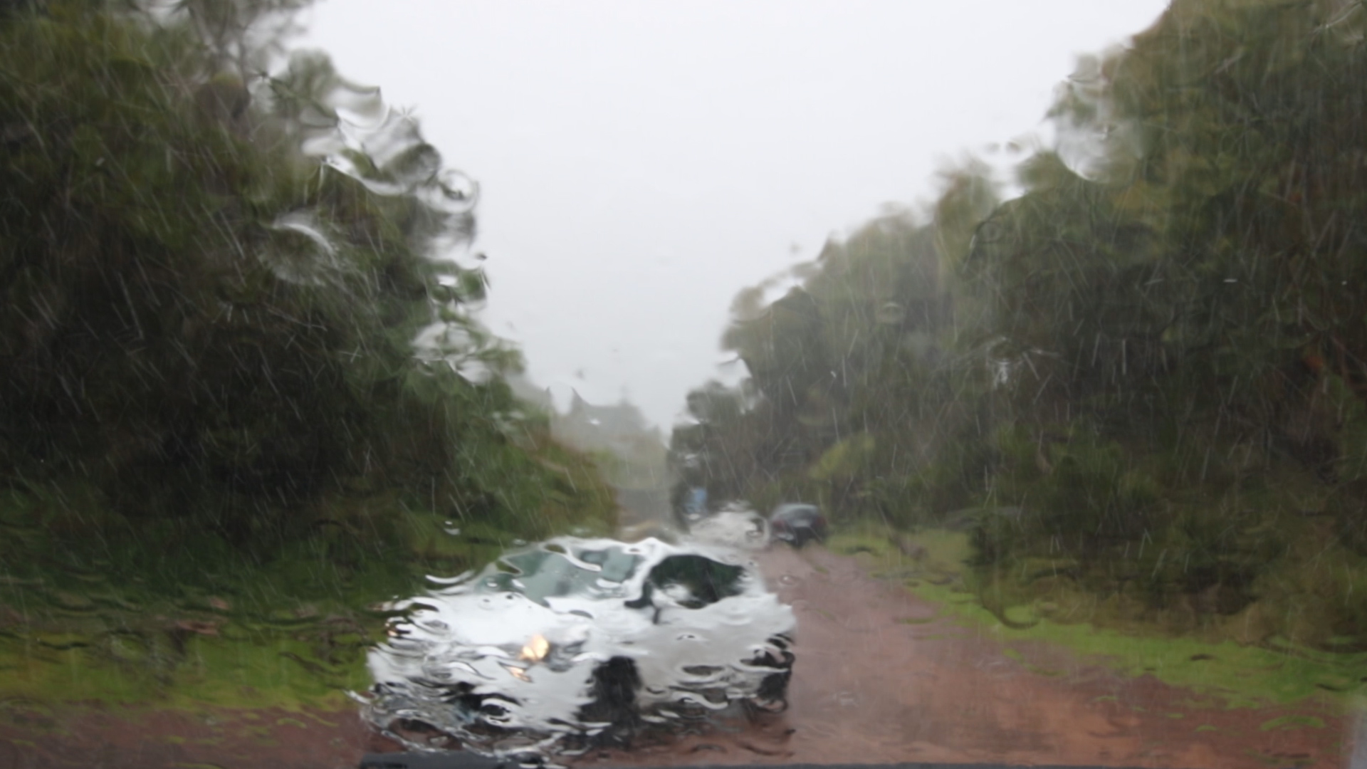 Regen im Forêt de Bébour