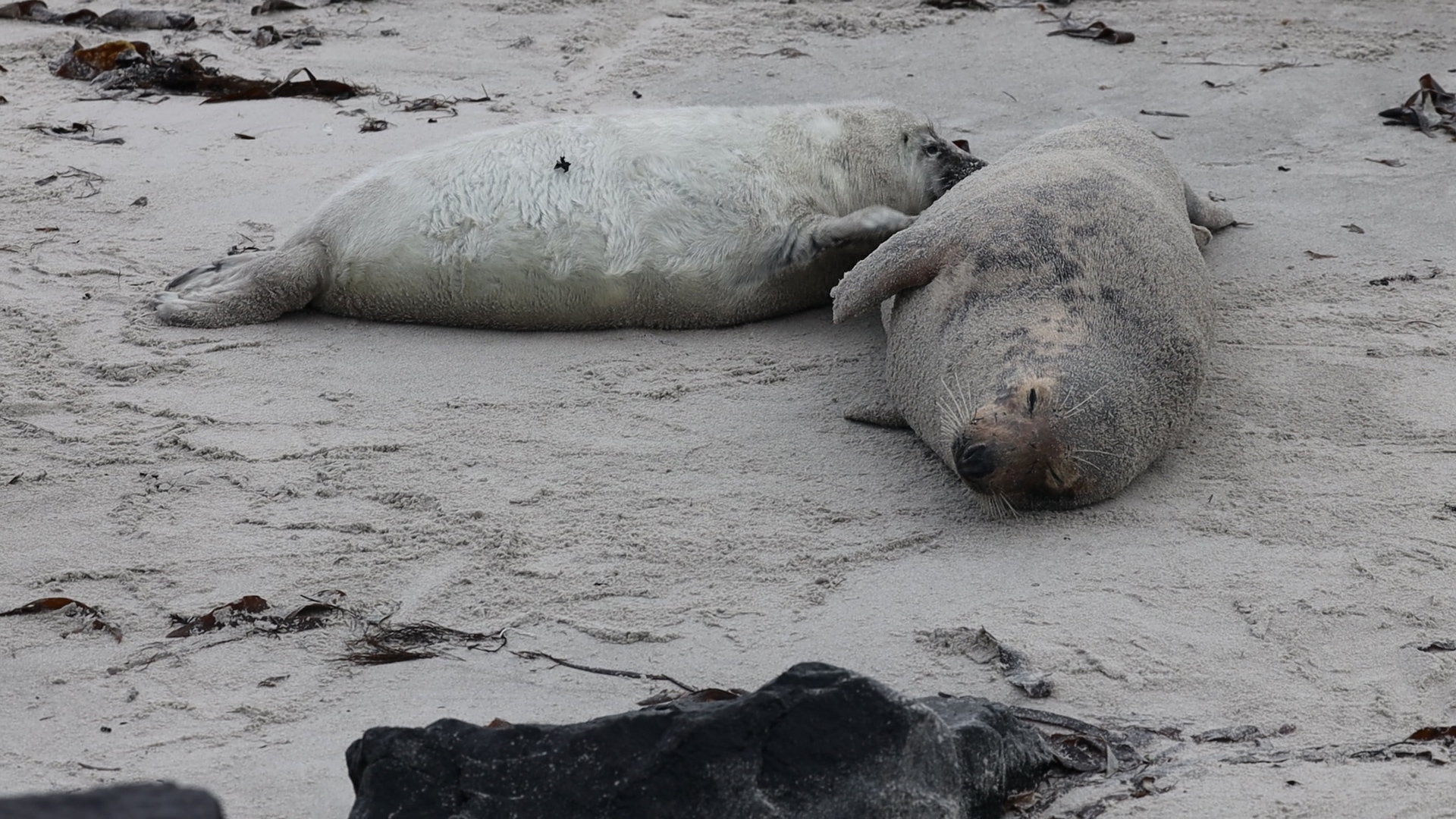 Helgoland im Dezember