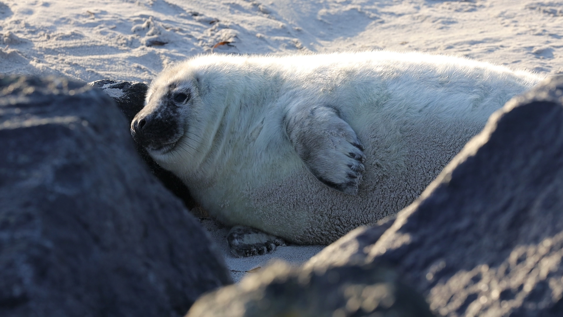 Helgoland im Dezember 2019 - 7