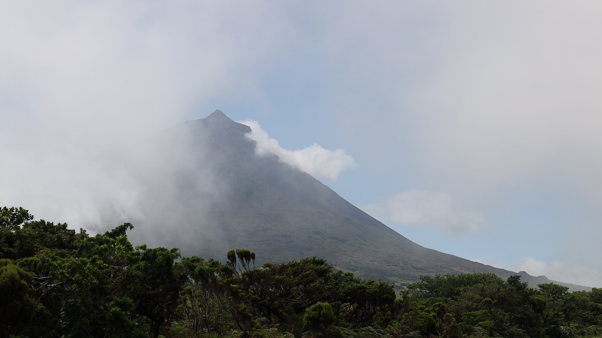 Der Berg Pico im Nebel