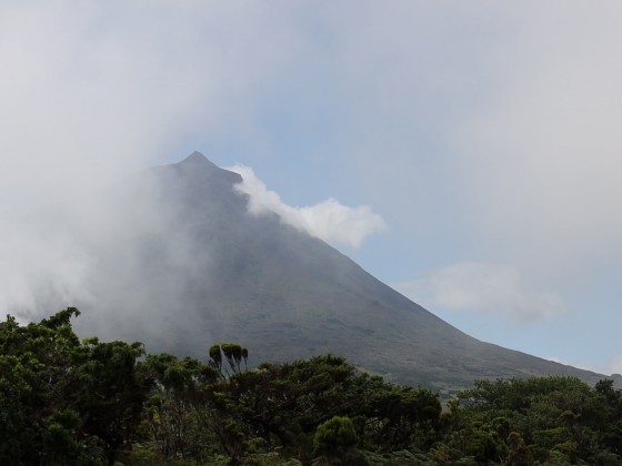 Der Berg Pico im Nebel