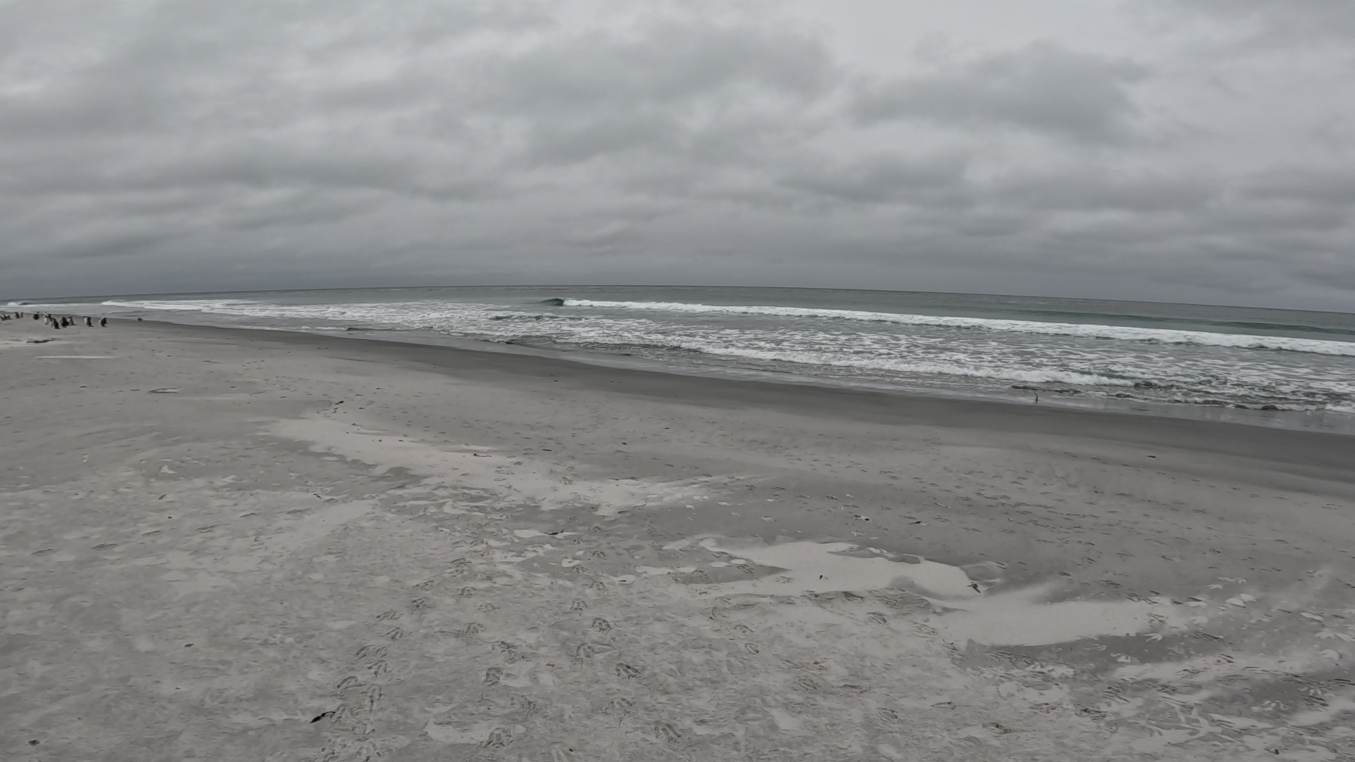 Am Strand von Sea Lion Island